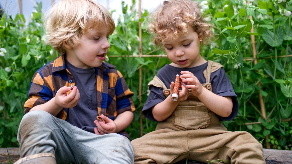 Sustainability Ideas for Children